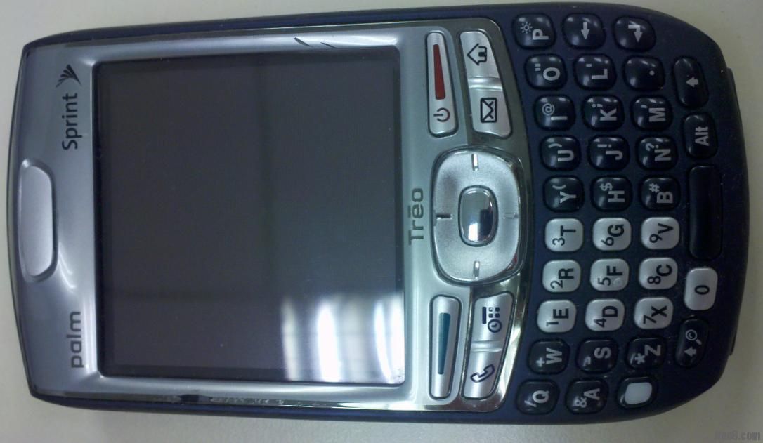 palm1.JPG