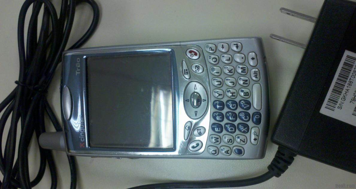 palm4.JPG