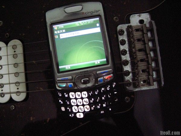 palm750.jpg