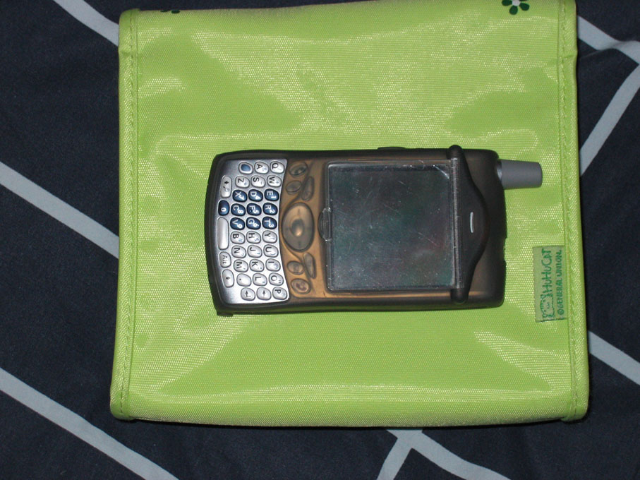 treo1.jpg