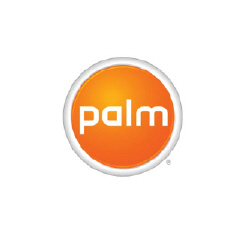 PALM240.JPG