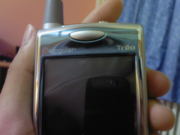 treo5.jpg