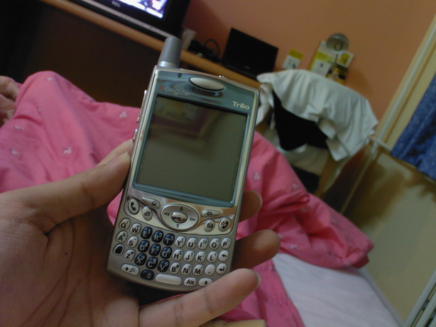 treo1.jpg