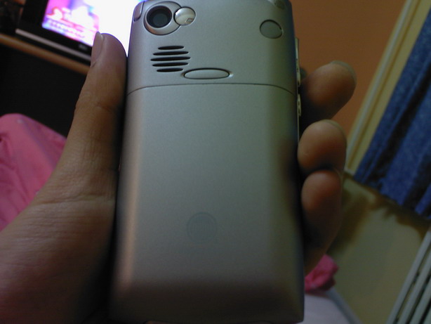 treo4.jpg