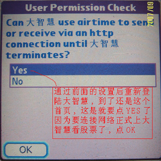 重新登陆大智慧后又到这个首页，这次要选ＹＥＳ因为要连接网络了，点ＯＫ