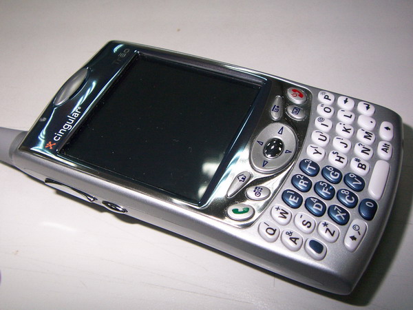 palm650.jpg