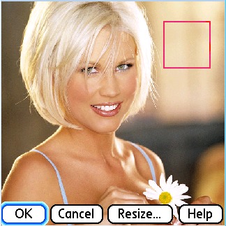 clip_image001.jpg