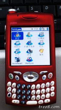 palm 650-2.jpg