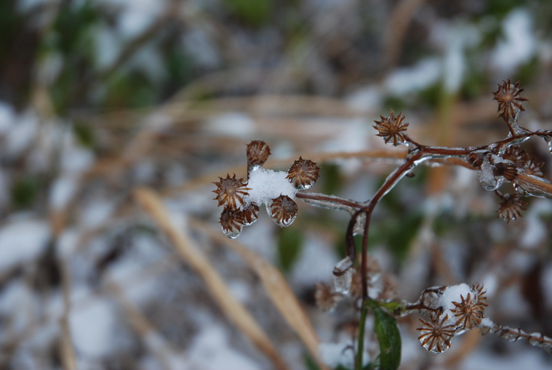 DSC_0117_缩小大小.JPG