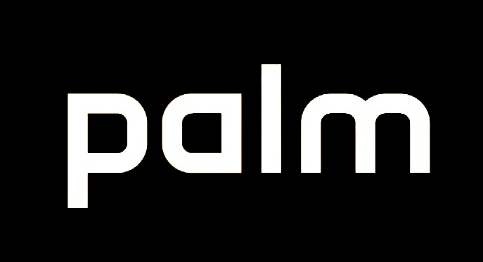 palm.jpg