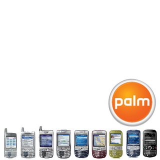 palm2.jpg