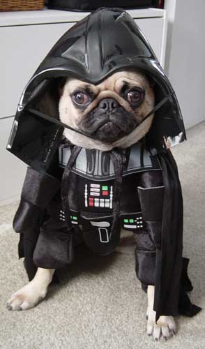 darthvaderdogcostume.jpg