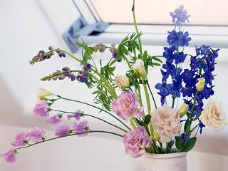 1600HomeFlower_8014.jpg