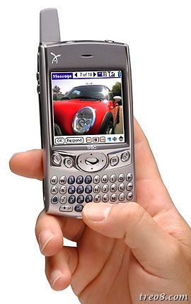 palm 600