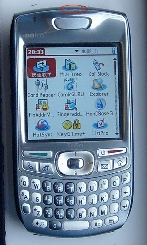 palm02.JPG