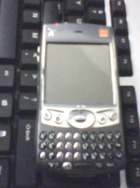 treo11.jpg