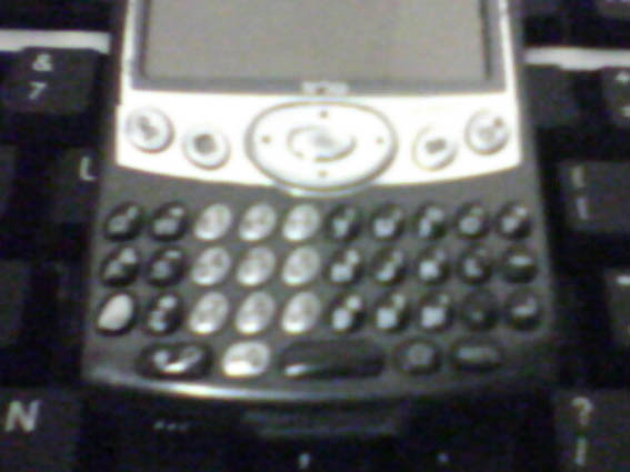 treo5.jpg