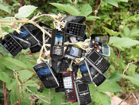 blackberry_shop.jpg