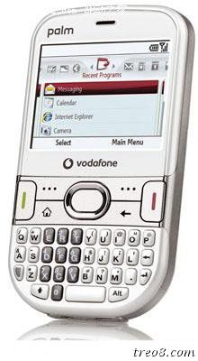 palm500v.jpg