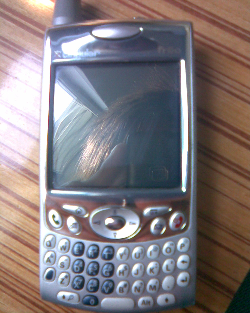 palm650