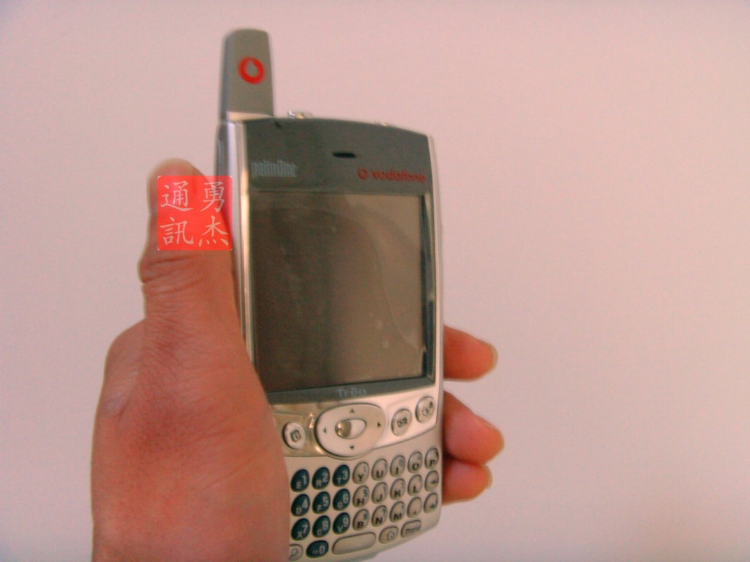 palm600