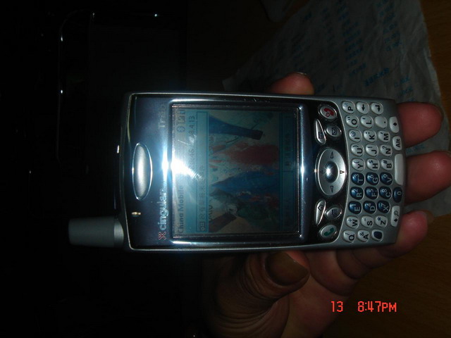 Palm650