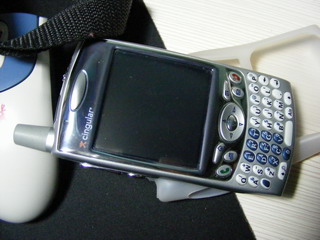 PALM650