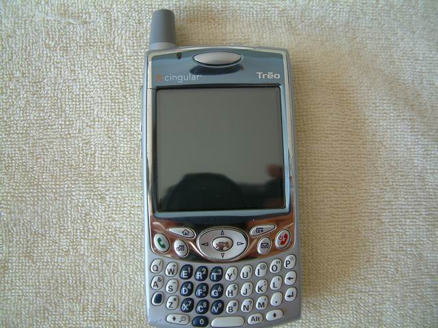 palm1.jpg