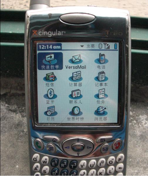 palm650