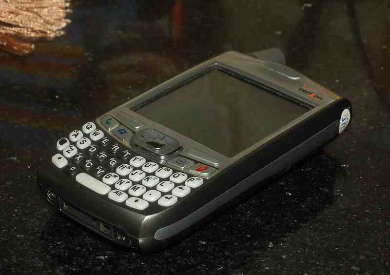 palm700w-5.jpg