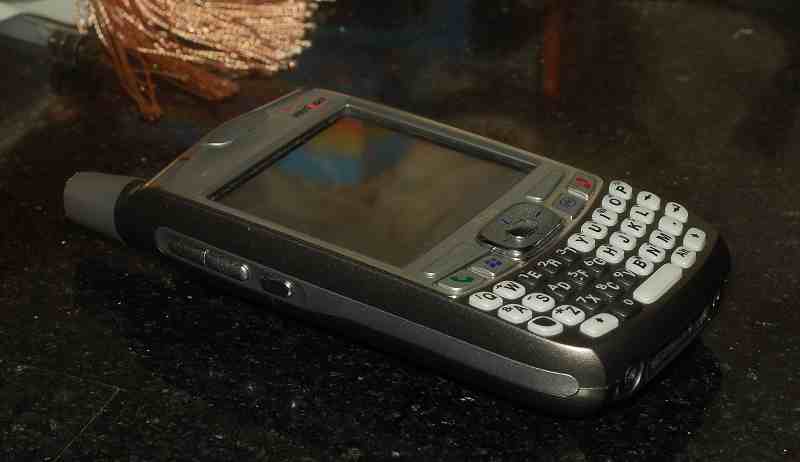 palm700w-4.jpg