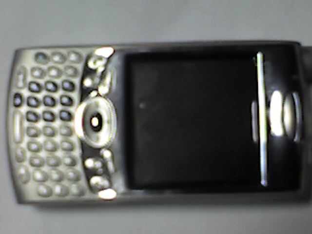 palm650