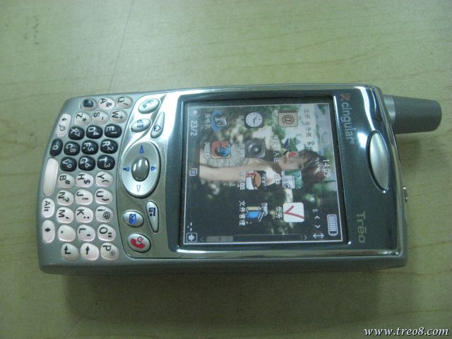 PALM 650-01.JPG