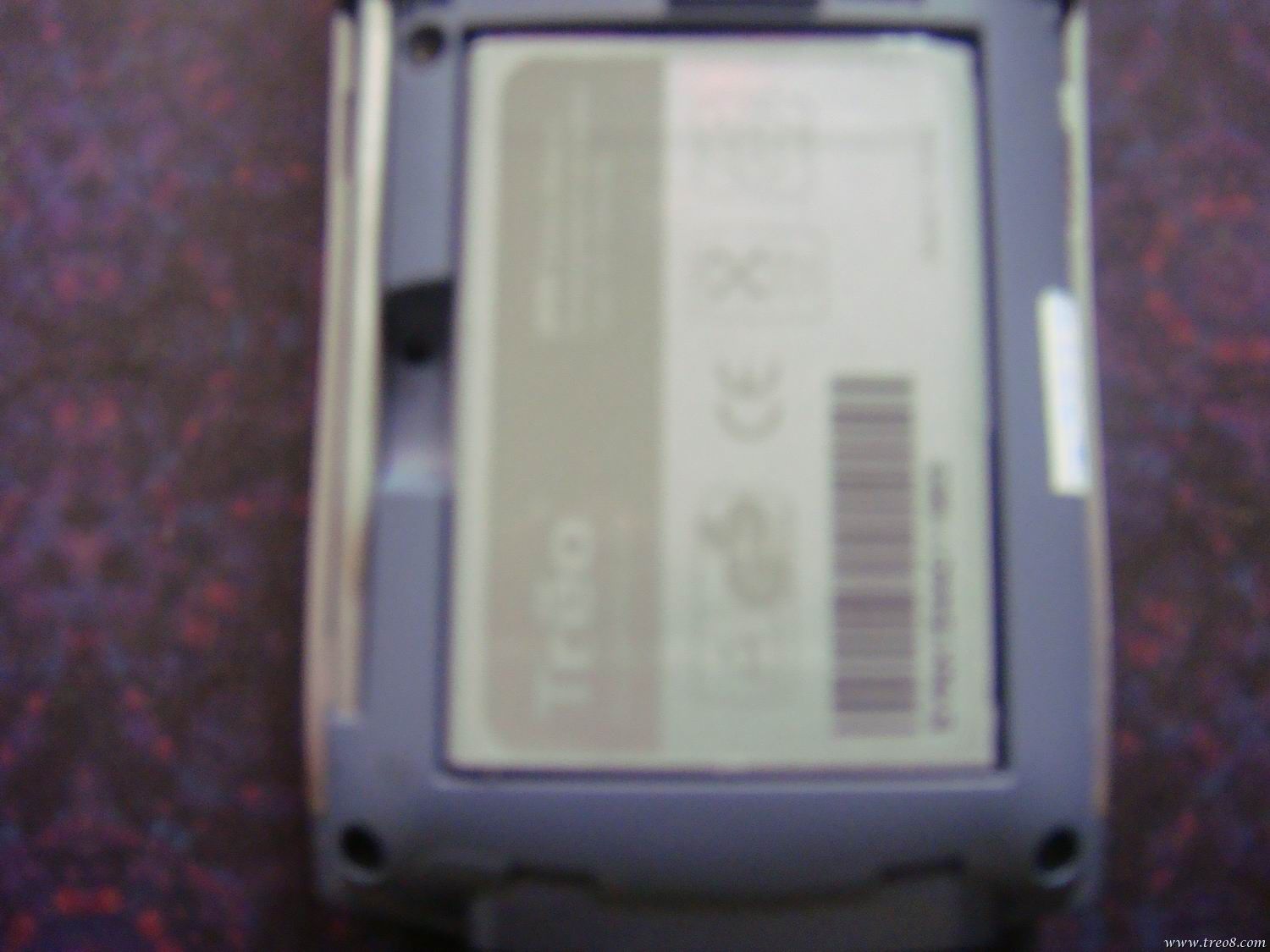 DSC00648'.JPG