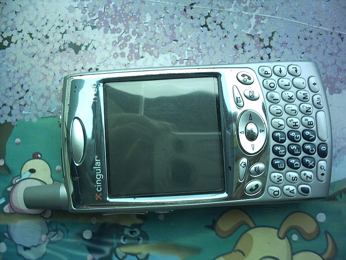 IMG00001.JPG