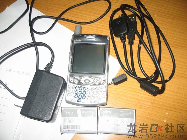 palm650.jpg