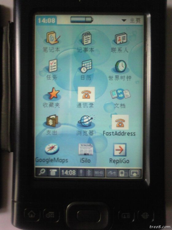 palm1.jpg