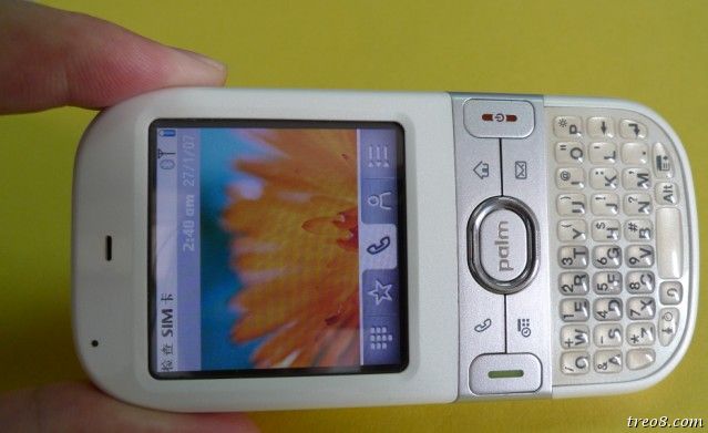 palm01.jpg