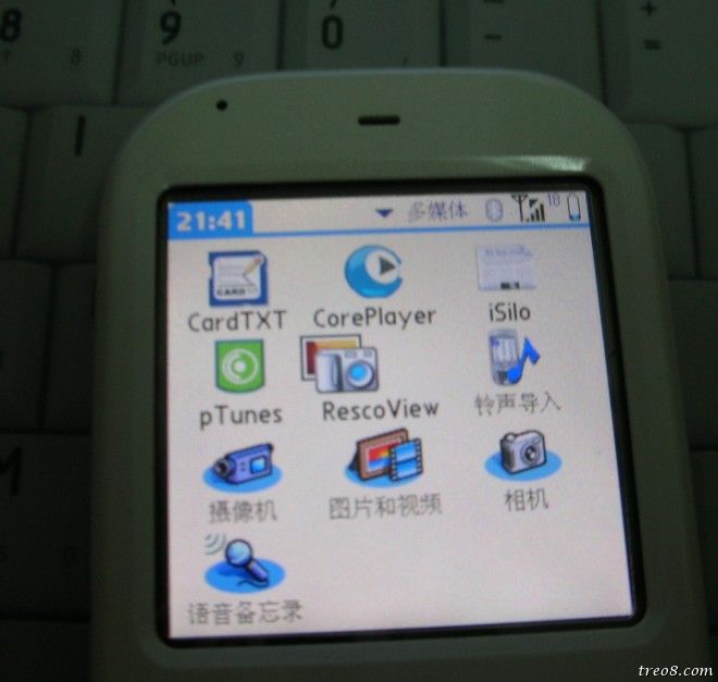 palm6.jpg