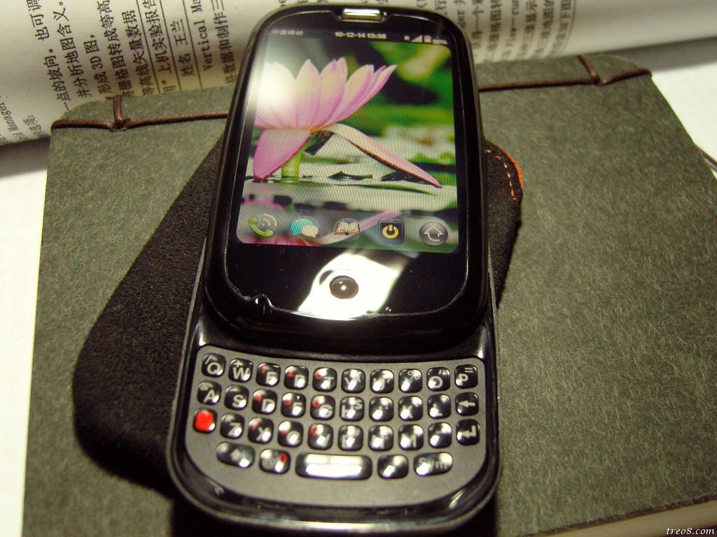 SNC13268.JPG